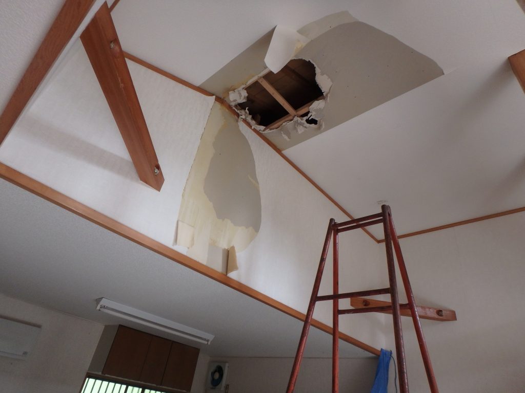 屋根・天井修繕で雨漏り解決！